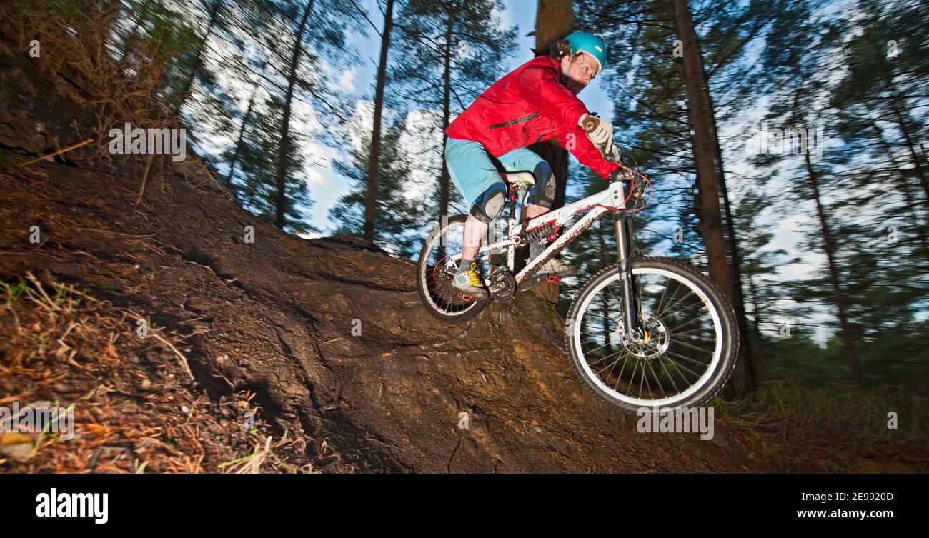 Mann auf Mountainbike Reiten in den Hügeln von Surrey / England Stockfoto