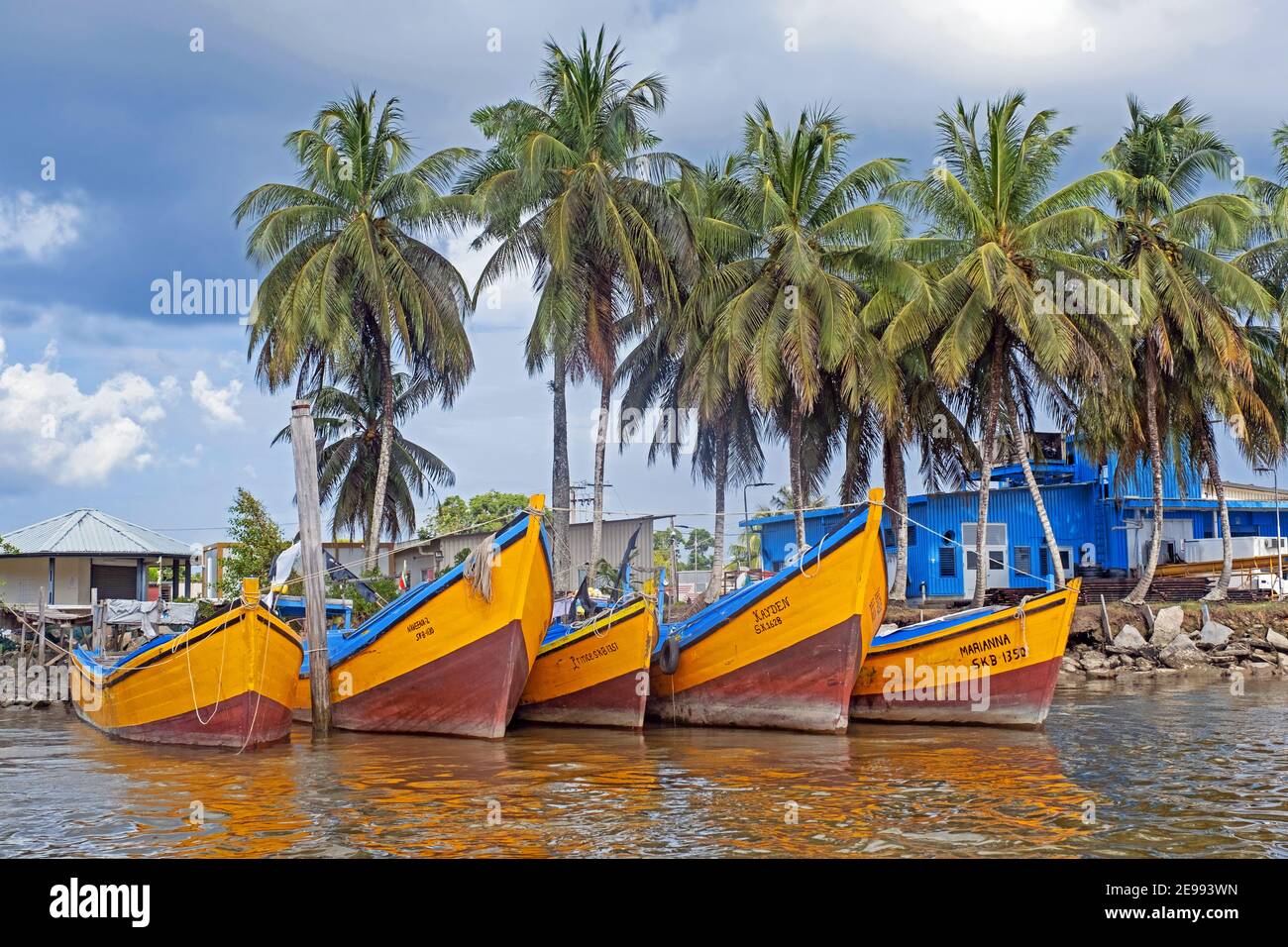 Traditionelle bunte hölzerne Fischerboote im Hafen von New Amsterdam / Nieuw Amsterdam entlang der Suriname Fluss, Commewijne District, Suriname Stockfoto