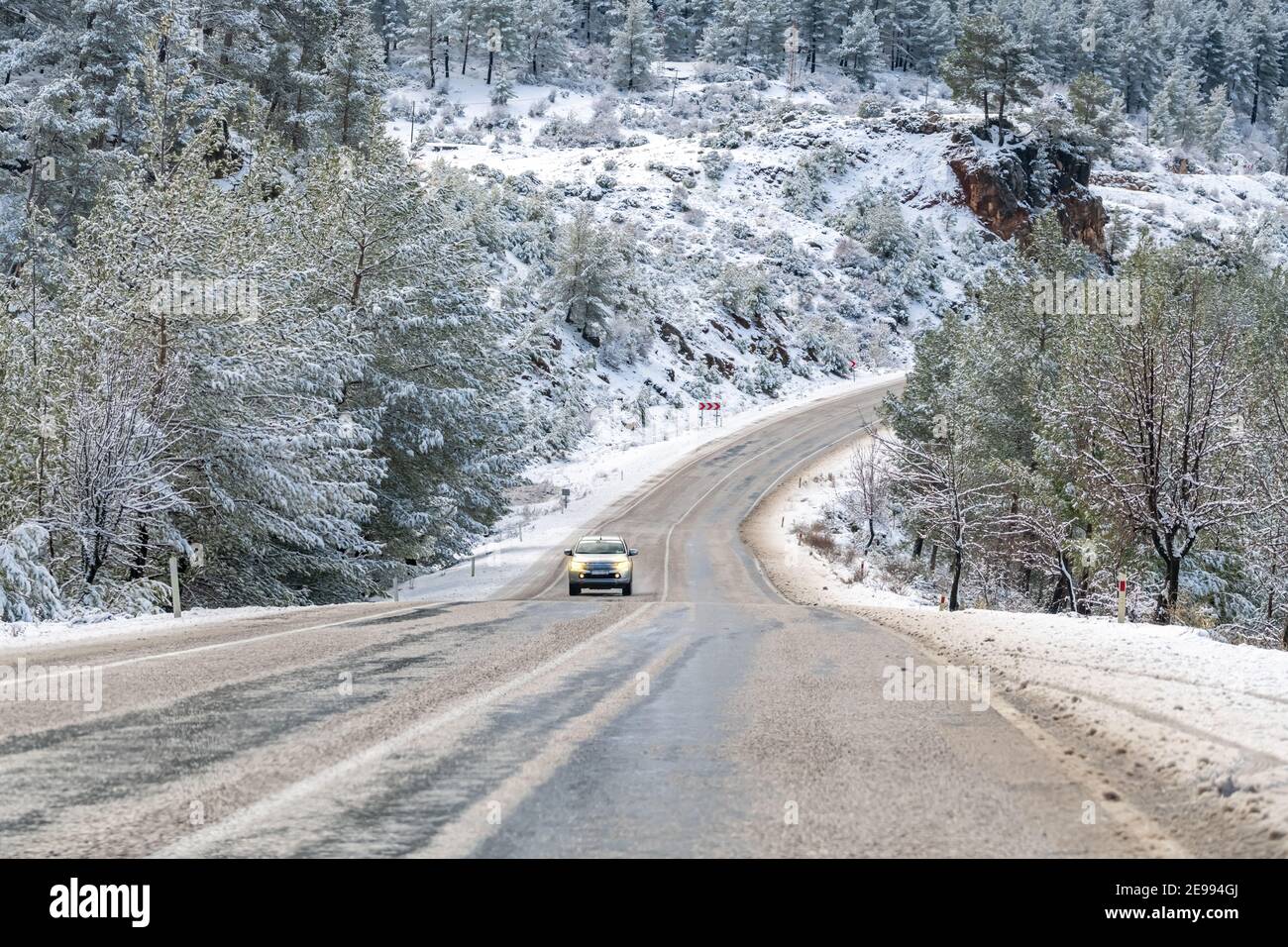 Panoramalage der Straße im Wald mit Schnee bedeckt. Stockfoto