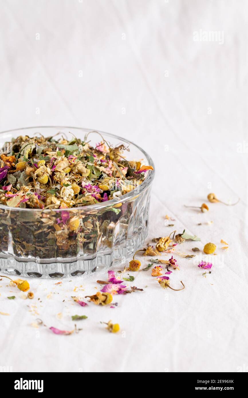 Trockene Heilkräuter und Blüten auf beigem Hintergrund. Homöopathie und Kräutermedizin Konzept Stockfoto