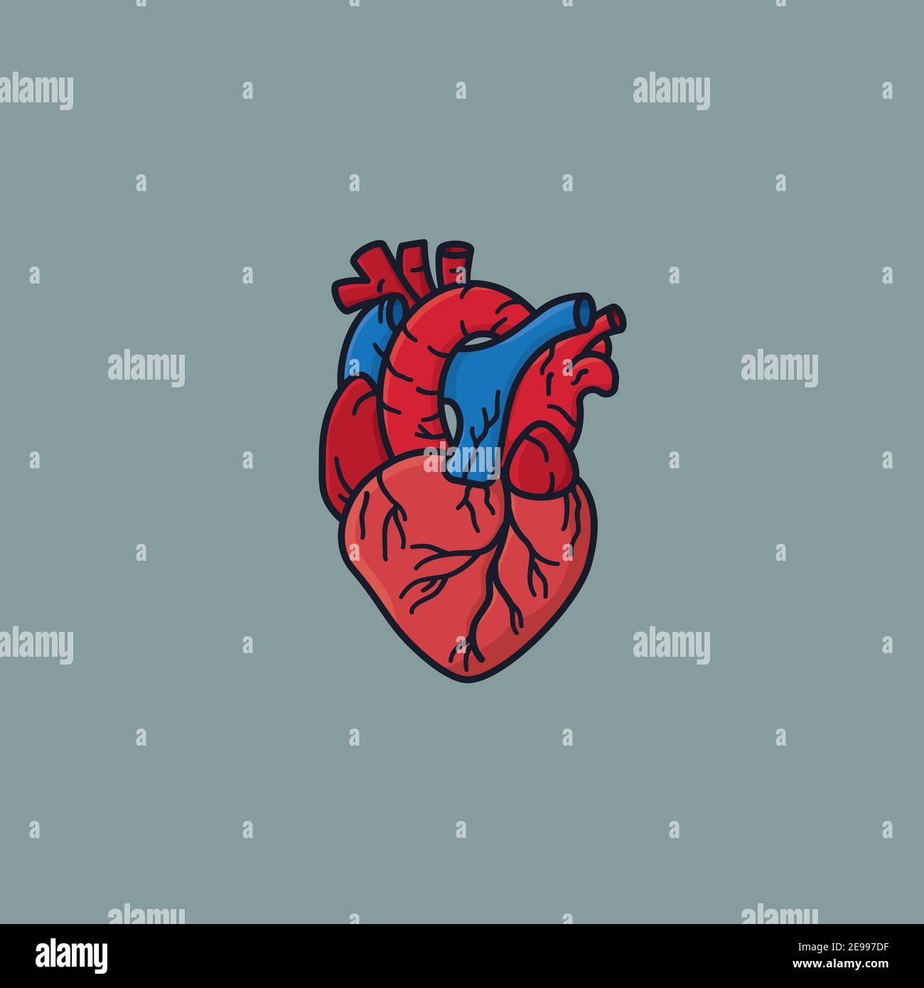 Abbildung des menschlichen Herzvektors für den Herztag am 29. September Stock Vektor