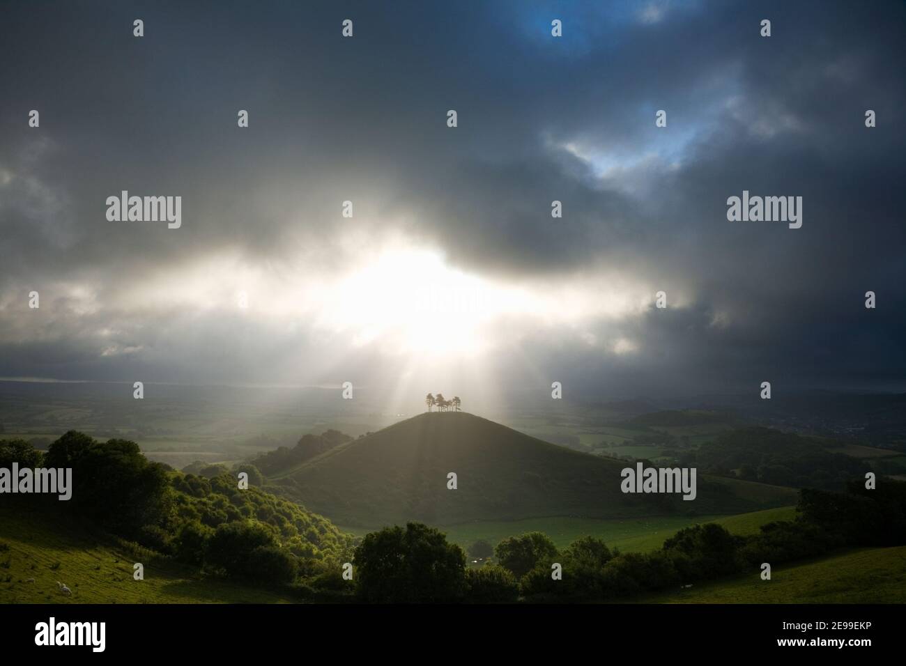 Ein Lichtschacht über Colmer's Hill. Dorset. VEREINIGTES KÖNIGREICH. Stockfoto