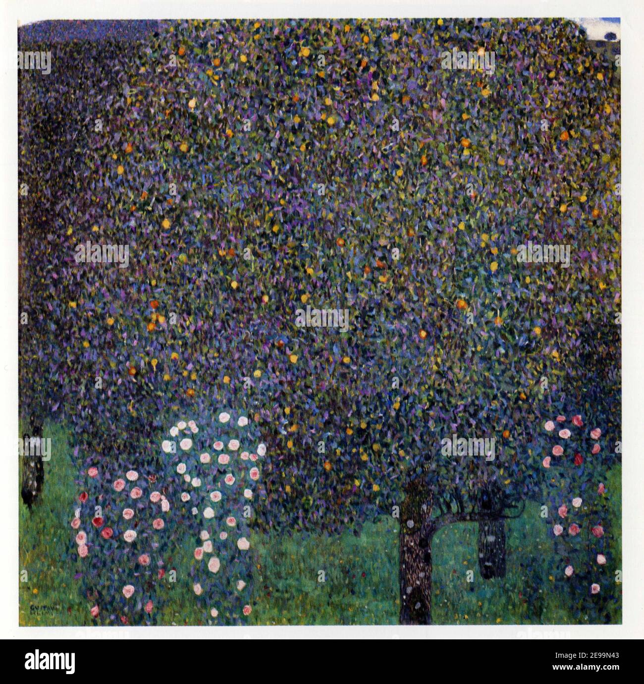 Gustav Klimt,1862-1918.Rosiers sous les arbres,Vers 1905.Huile sur toile. Stockfoto
