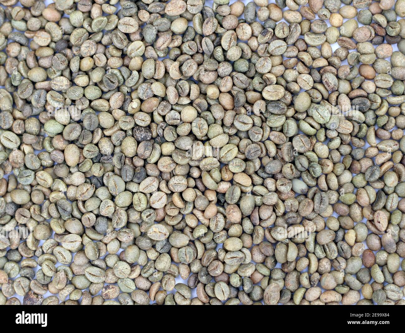 Nahaufnahme von vielen geschälten Kaffeesamen Stockfoto
