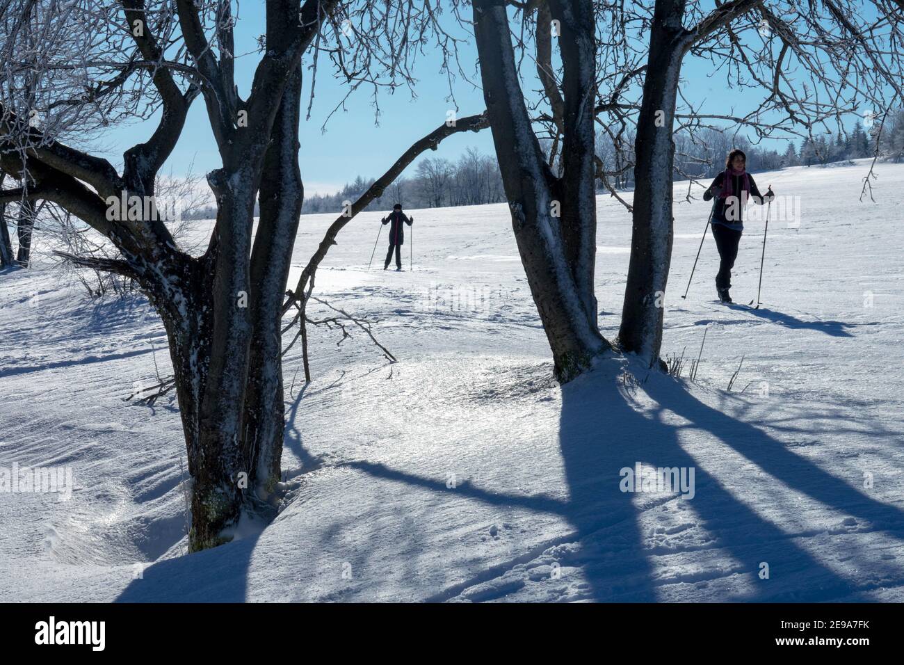Langläufer Tschechien Tschechische Republik Tschechische Winterschneeberge Krusne Hory Snow Stockfoto
