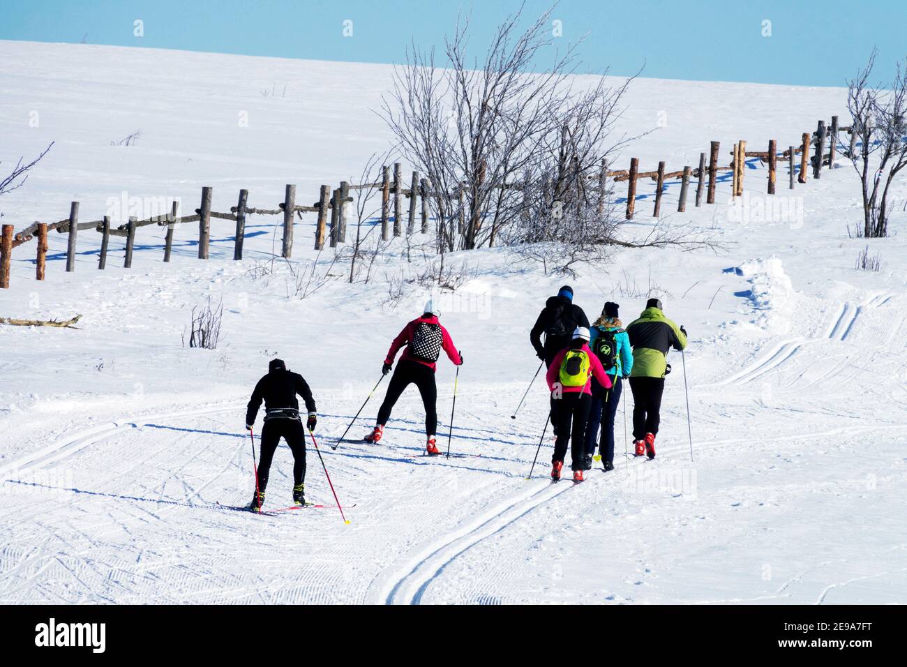 Langläufer Tschechien Winter Skifahren Menschen Tschechische Berge Stockfoto