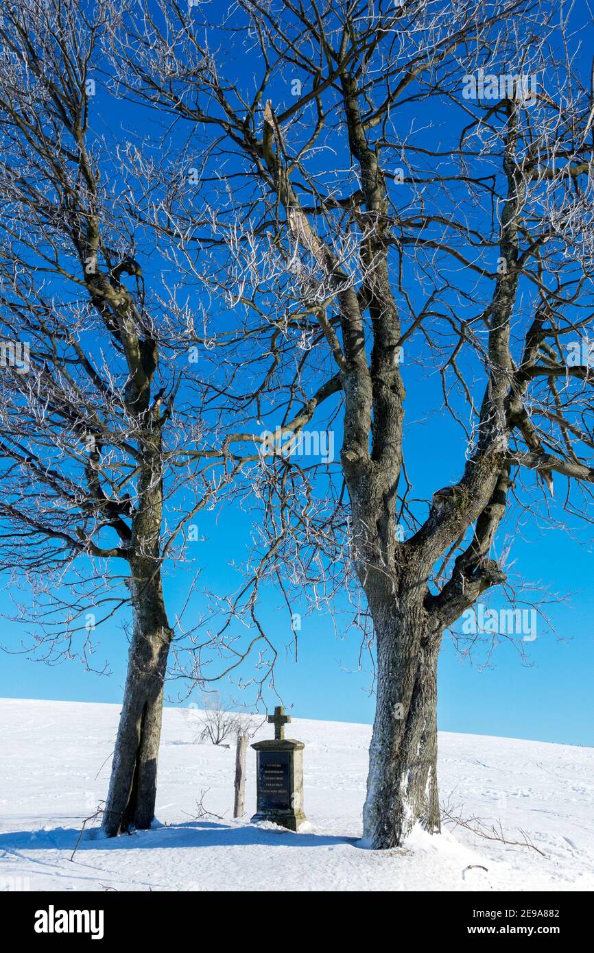 Zwei Linden und ein Gedenkkreuz in einem verschneiten Winterlandschaft Stockfoto