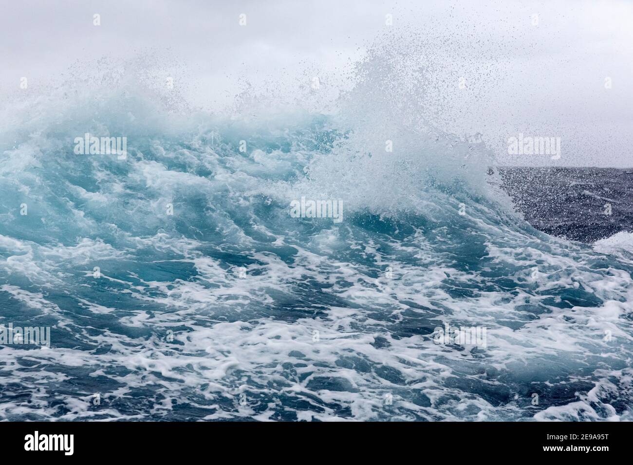 Starke Westwinde erzeugen große Wellen in der Drake Passage, Antarktis. Stockfoto