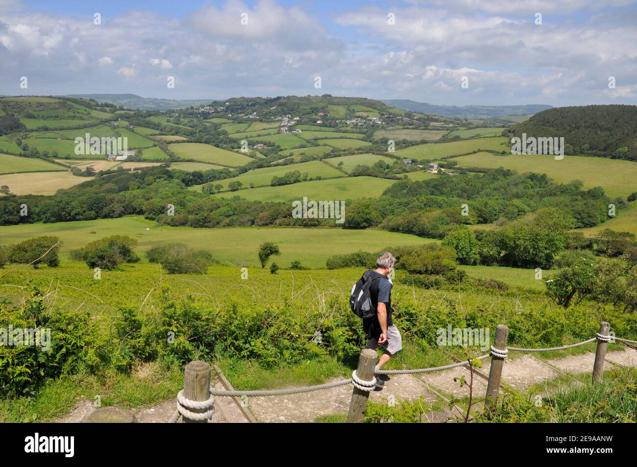 Ein Wanderer auf dem Küstenweg steigt von der Spitze des Golden Cap Hügels an der Jurassic Küste in Dorset ab. Blick ins Landesinnere über hügelige Felder und Wälder towar Stockfoto