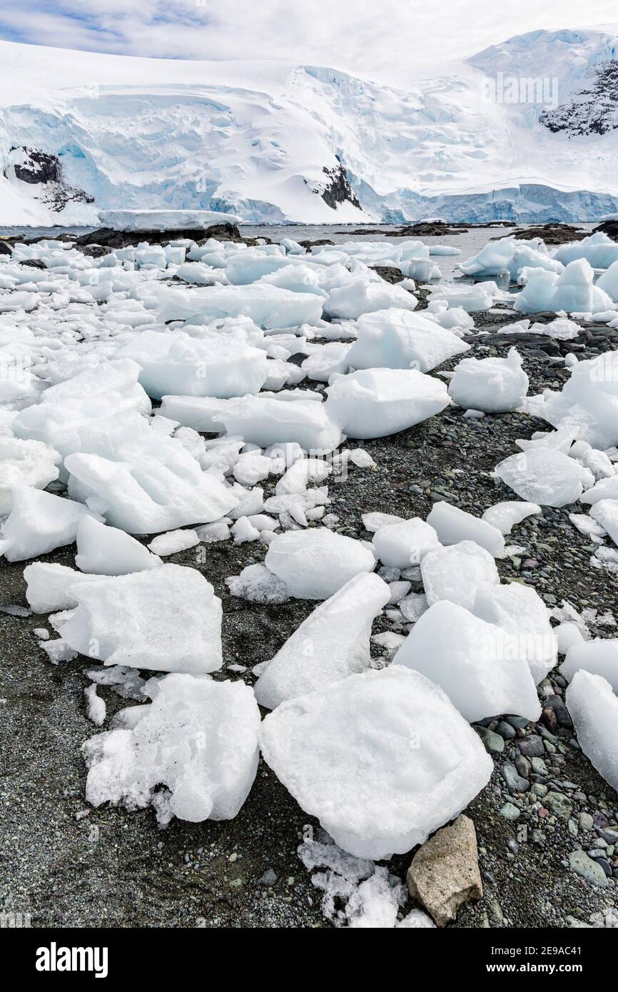 Brash Eis gestrandet am Strand bei Ebbe in Mikkelsen Hafen, Trinity Island, Antarktis. Stockfoto