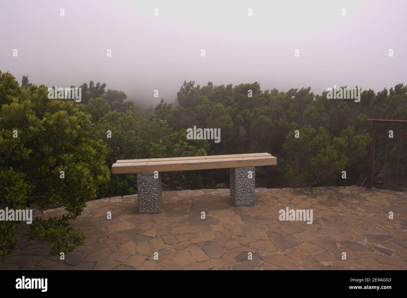 Bild einer Steinbank in einem Ruhebereich in Ein Wald umgeben von Nebel mit Kopierraum Stockfoto