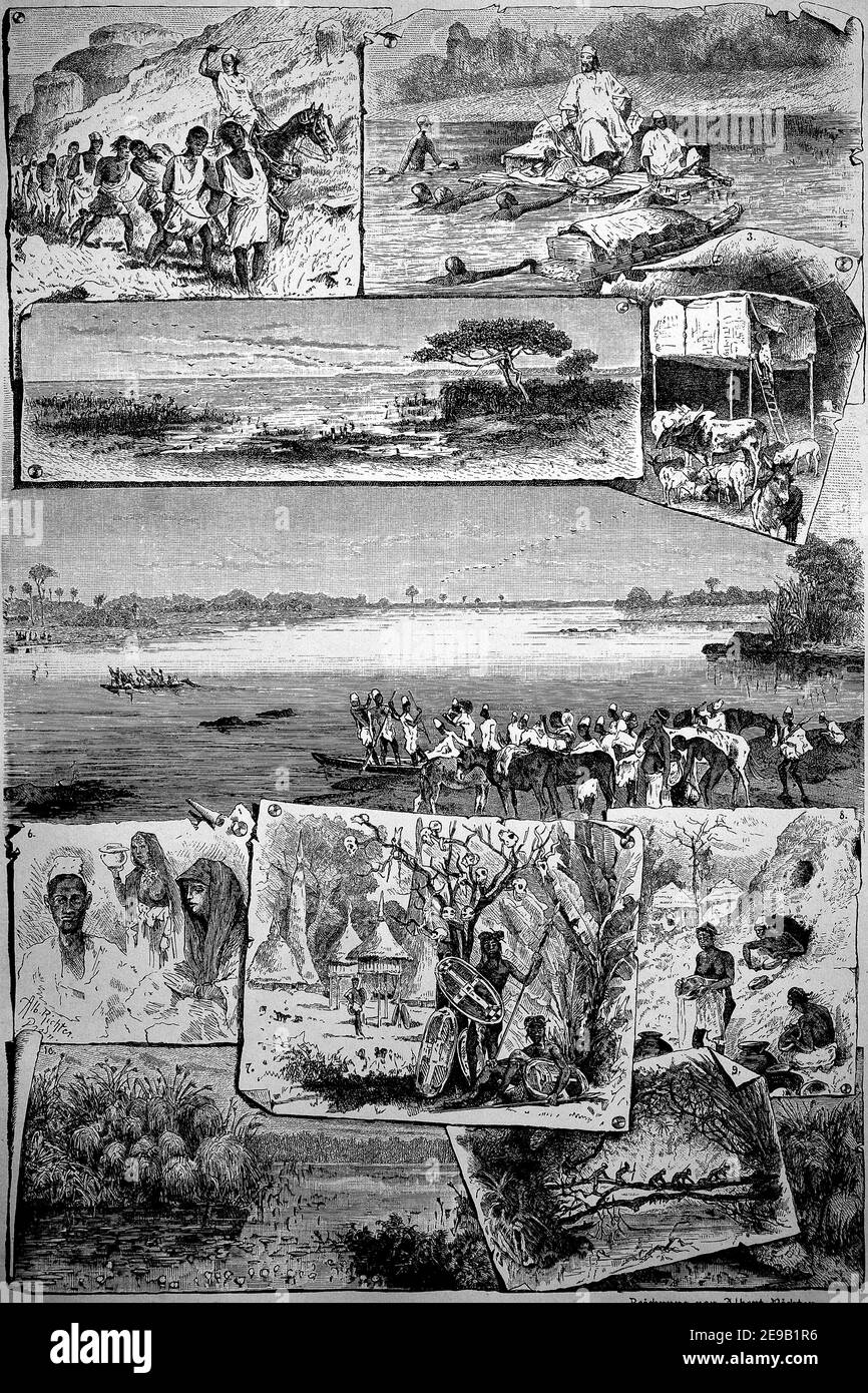 Bild tableau zum Thema Mittelafrika von 1880, Illustrationen aus dem Niger / Bildertableau zum Thema Mittleres Afrika aus dem Jahr 1880, Illustrationen aus dem Gebiet des Niger, Historisch, historisch, Digitale verbesserte Reproduktion eines Originals aus dem 19th. Jahrhundert / digitale Reproduktion einer Originalvorlage aus dem 19. Jahrhundert, Stockfoto