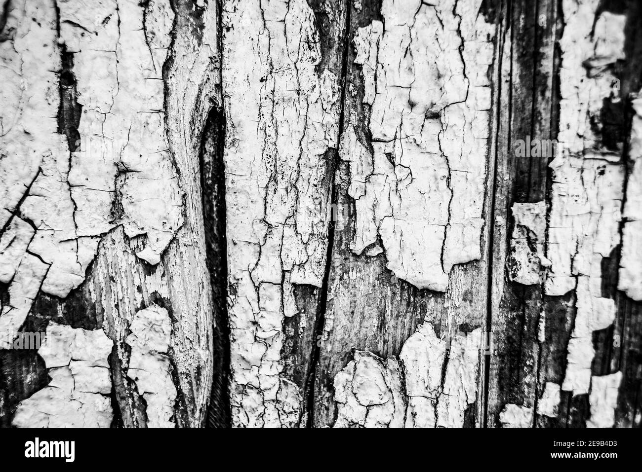 Holz Textur Hintergrund und Holzplanken vintage Stockfoto