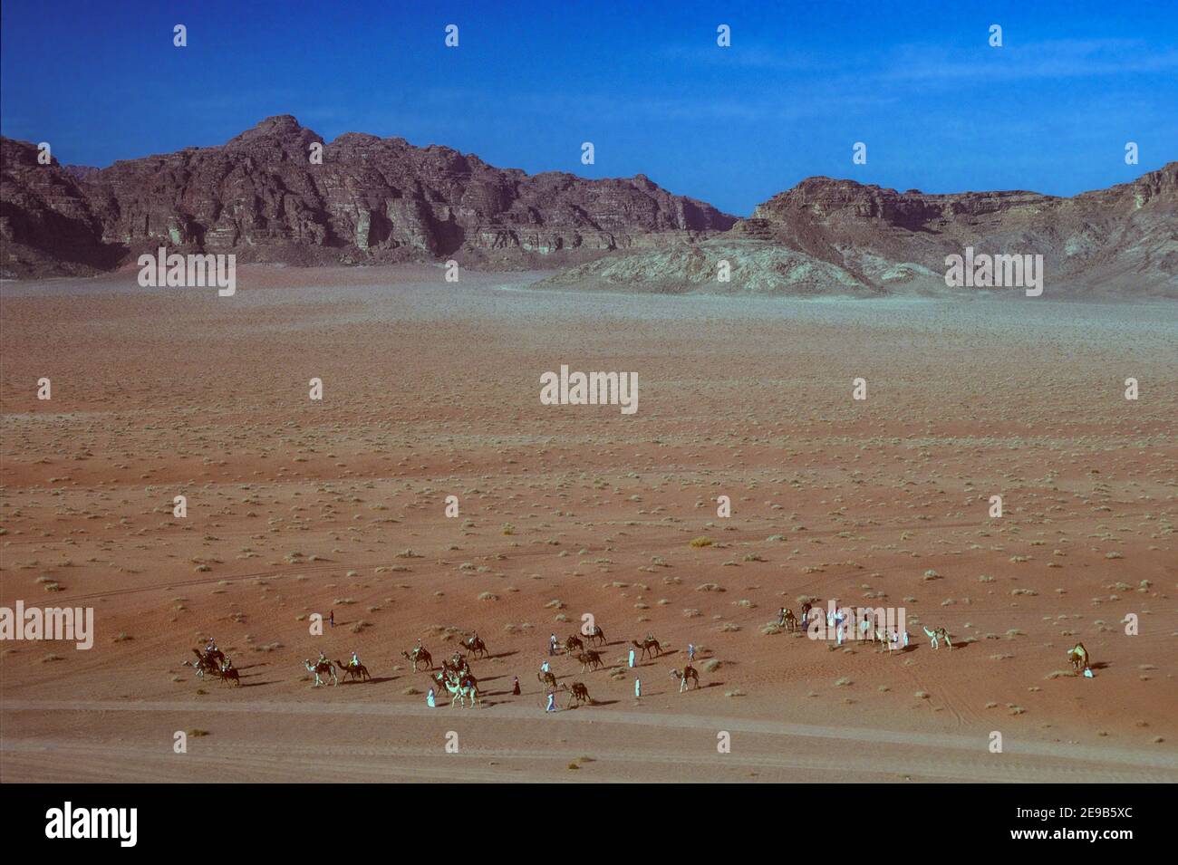 Luftaufnahme Gruppe von Beduinen Männer und Kamele in der Wüste Landschaft Wadi Rum Jordanien Stockfoto