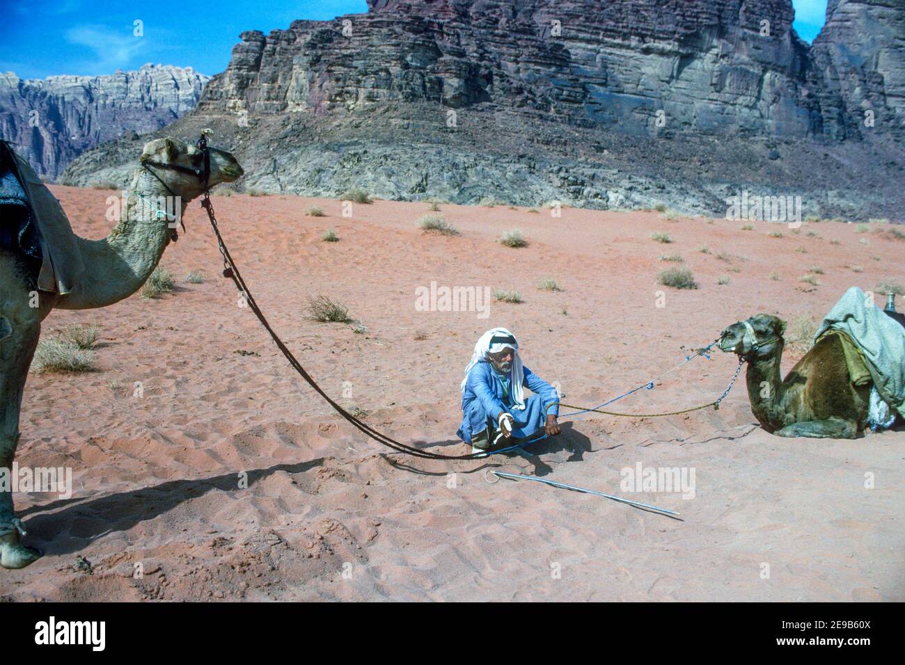 Sitzende beduinen Verbot halten zwei Kamele Wadi Rum Jordan Stockfoto