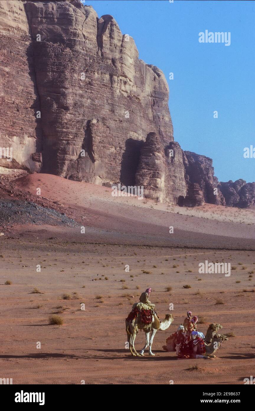 Drei beduinen Männer und Kamele in rauer Landschaft Wadi Rum Jordanien Stockfoto