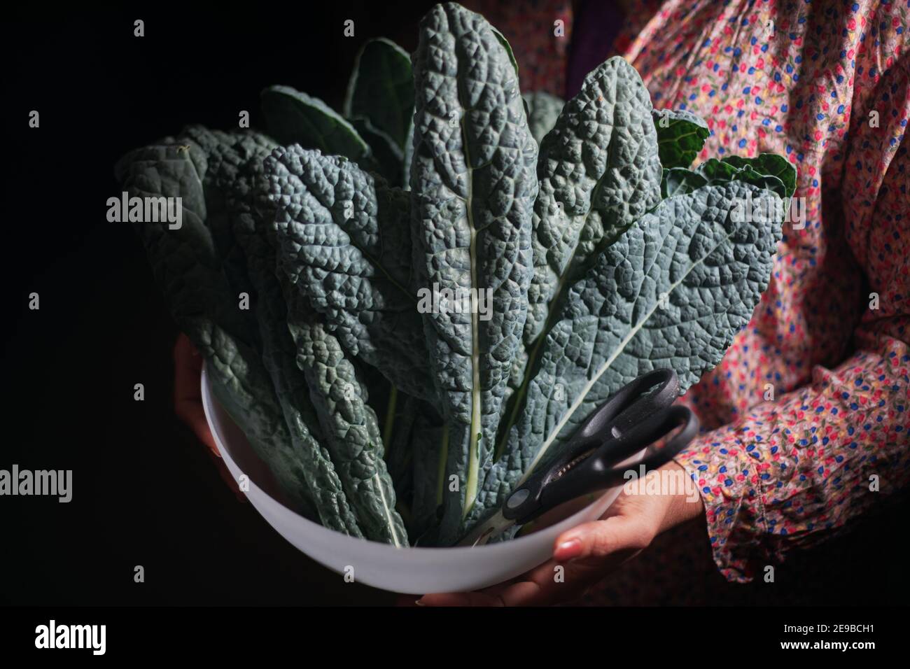 Eine Frau, die die Schale mit Grünblättrig hält Stockfoto