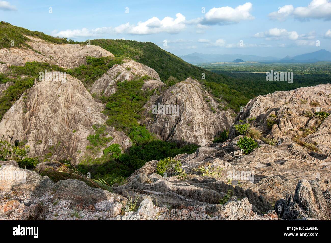 Ein Abschnitt von Jathika Namal Uyana bei Ulpathagama in Zentral-Sri Lanka, der der größte Eisenholzwald und rosa Quarzberg in Asien ist. Stockfoto