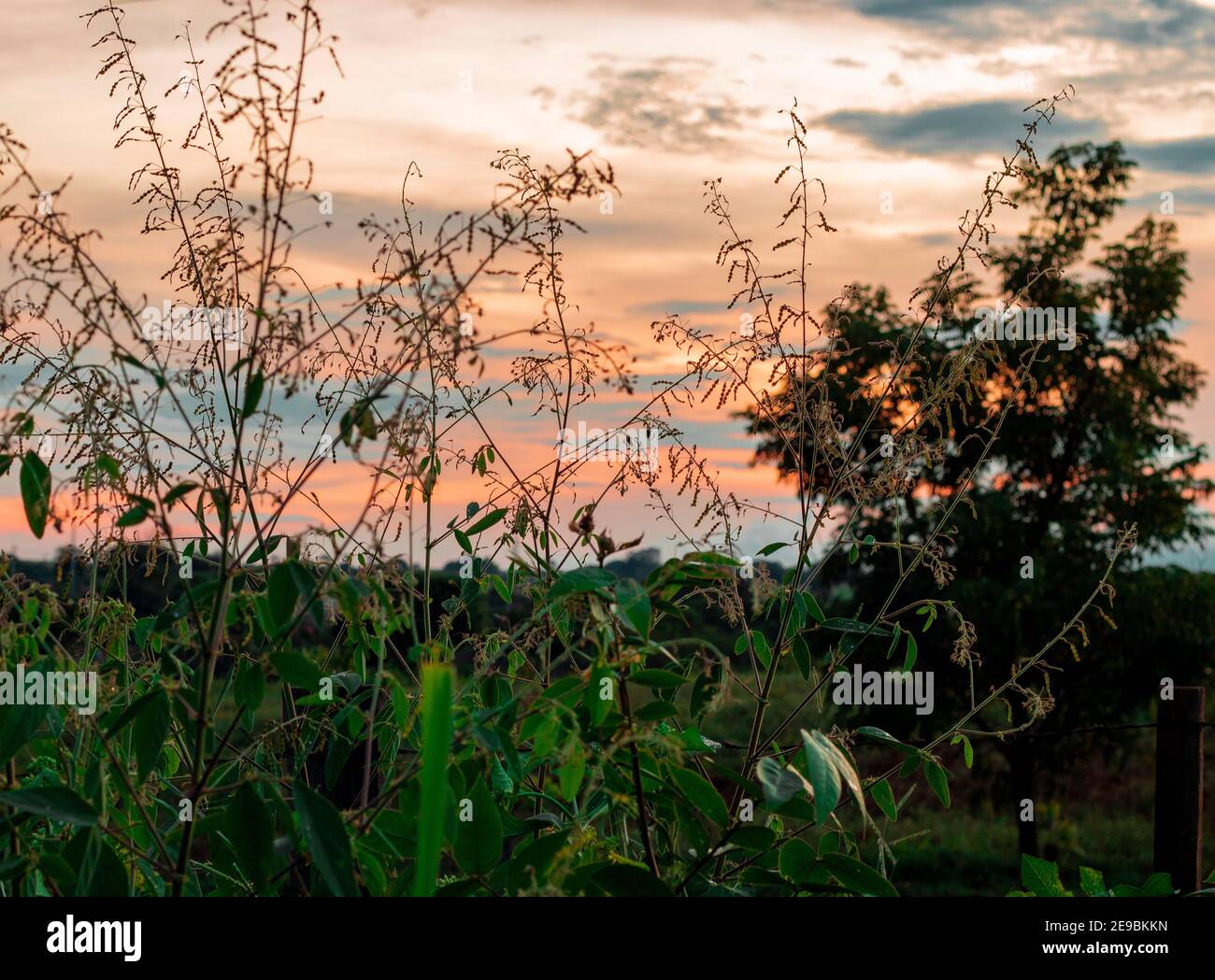 Brasilianischer mittlerer Westen Landschaften mit Sonnenuntergang und schönen Orten Stockfoto