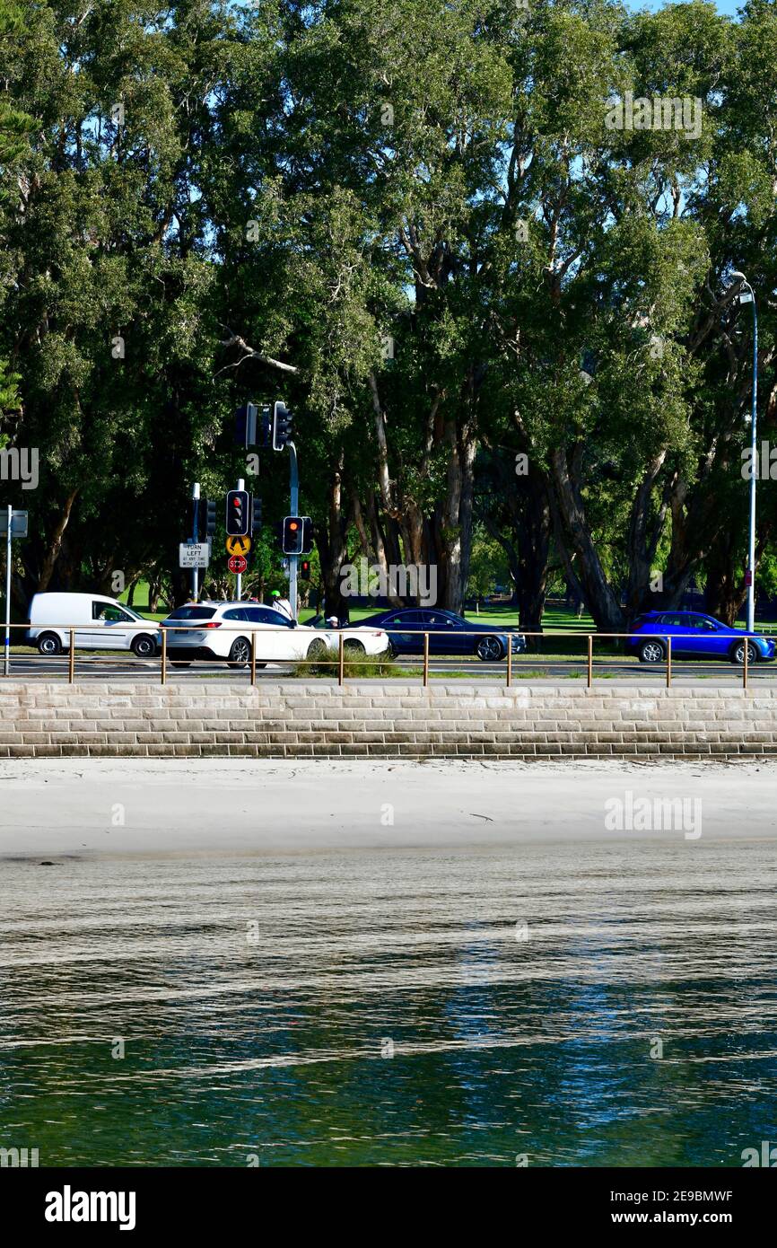 Blick auf Rose Bay in Sydney, Australien Stockfoto
