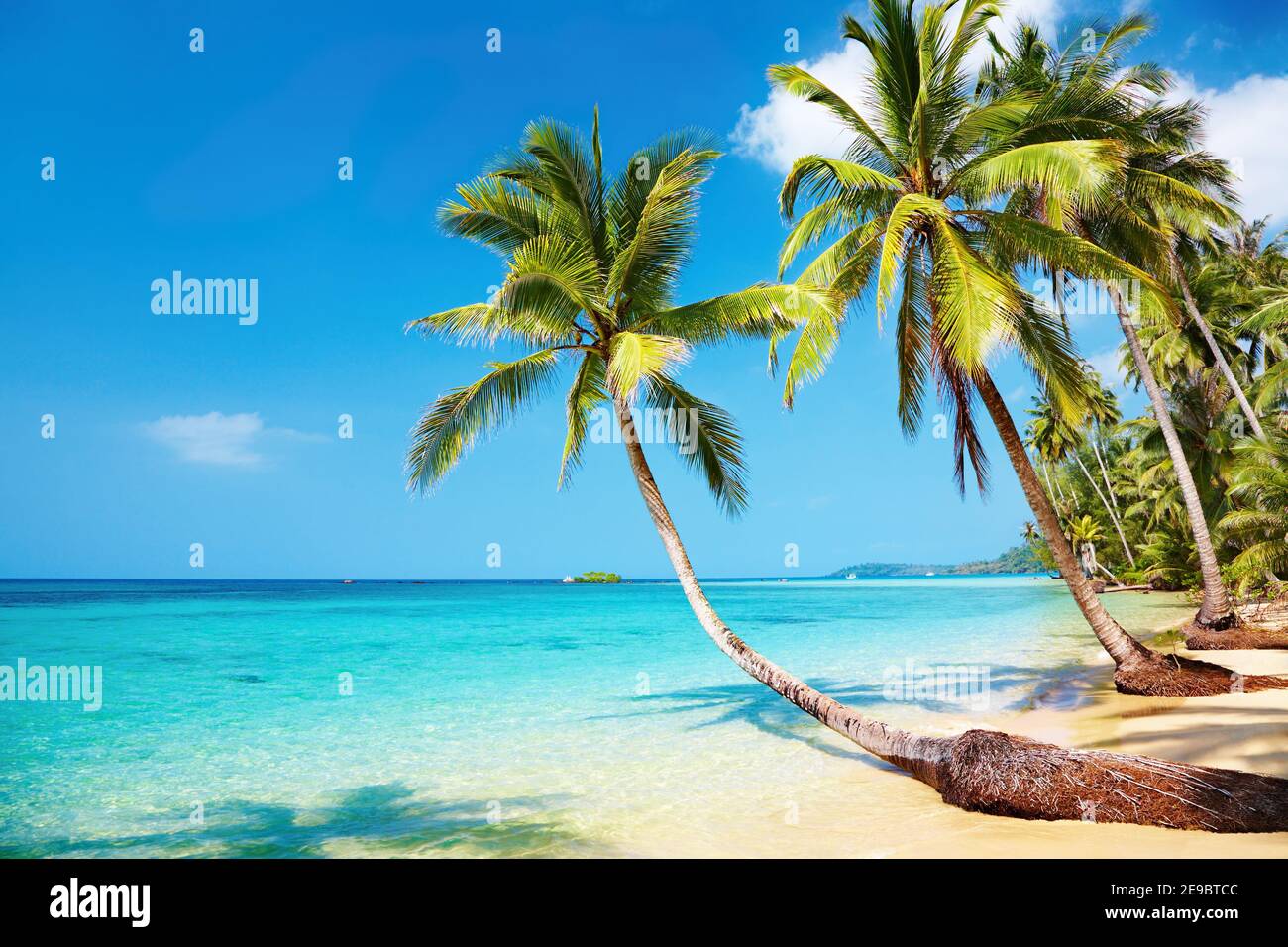 Tropischer Strand, Insel Kood, Thailand Stockfoto