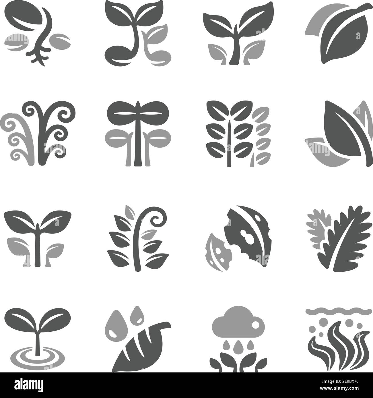 Pflanzen- und Blattsymbole, Vektor und Illustration Stock Vektor