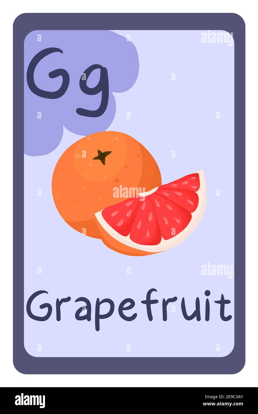 ABC-Bildungskarte im Cartoon-Stil auf buntem Hintergrund, Buchstabe G - Grapefruit. Vektorgrafik Alphabet. Stock Vektor
