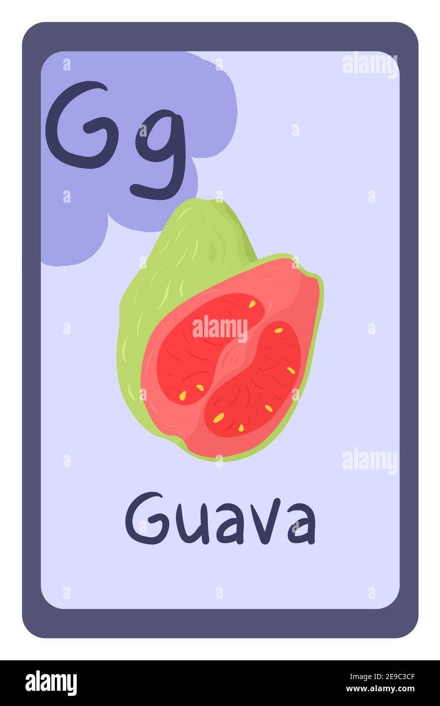 ABC-Bildungskarte im Cartoon-Stil auf buntem Hintergrund, Buchstabe G - Guava. Vektorgrafik Alphabet. Stock Vektor