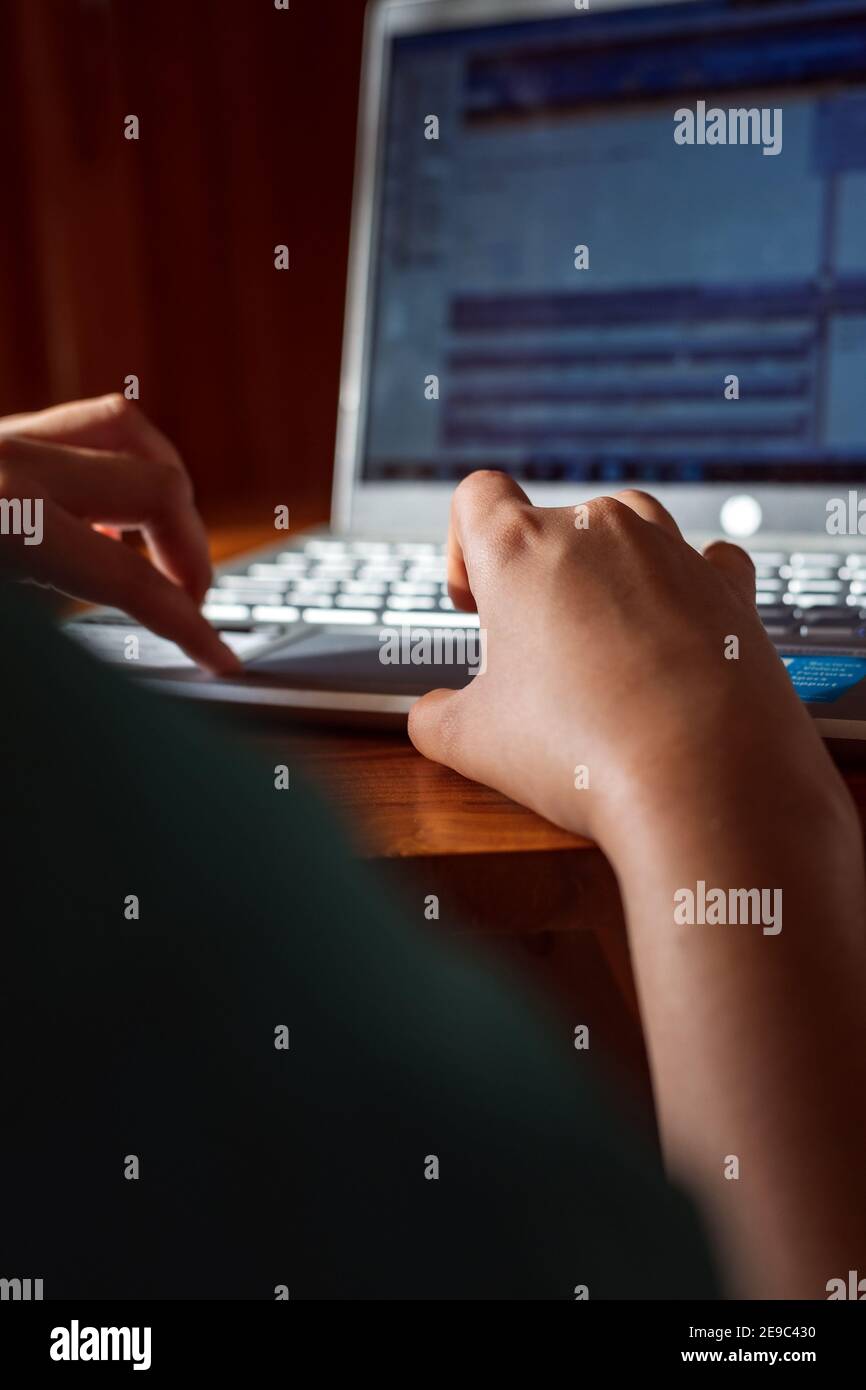 IT-Profi Frau arbeitet von zu Hause aus mit Laptop und Handys Mit einer heißen Tasse Kaffee daneben und einem grünen Anlage Stockfoto