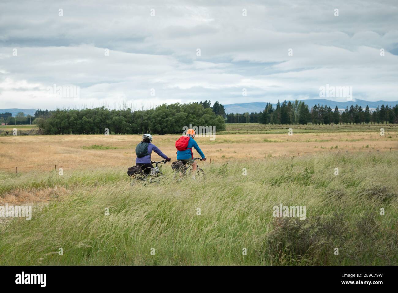 Zwei Radfahrer fahren auf dem Otago Central Rail Trail zwischen dem Feld des langen Grases, das im Wind weht, South Island, Neuseeland Stockfoto