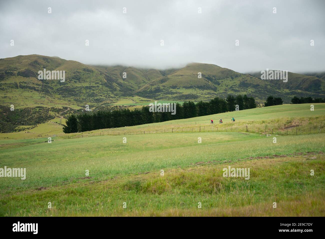 Grüne Hügel von Central Otago. Drei Personen radeln auf dem Otago Rail Trail, South Island, Neuseeland Stockfoto