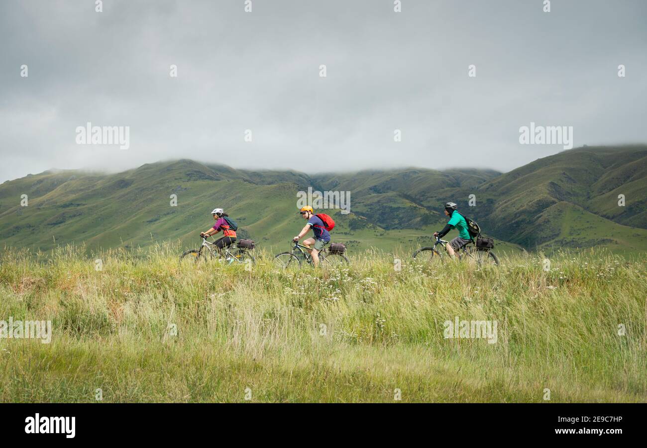 Drei Personen radeln auf dem Otago Central Rail Trail in Richtung Middlemarch, Südinsel, Neuseeland Stockfoto