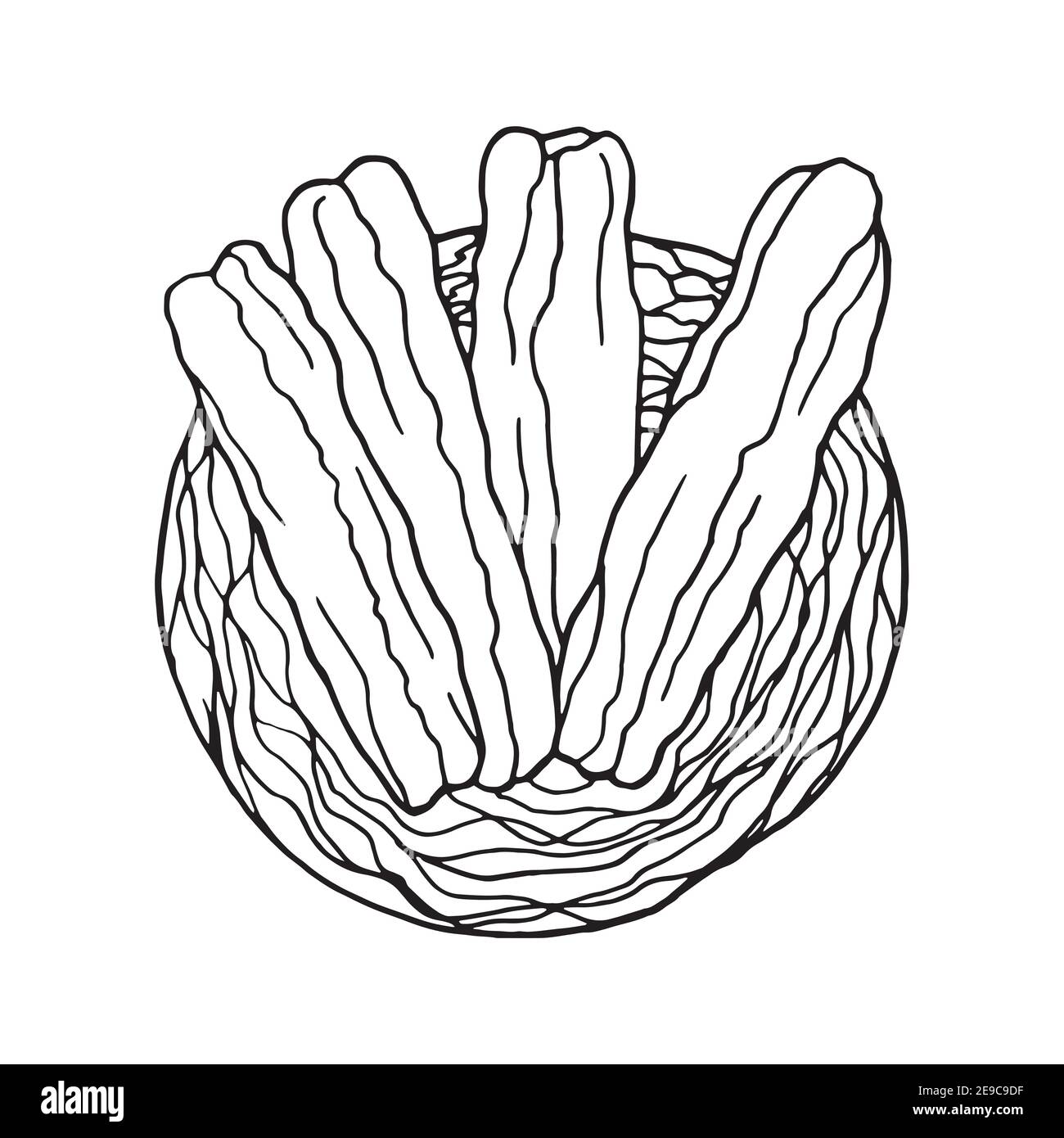 Handgezeichneter Doodle youtiao. Chinesisches Gericht. Design Skizzenelement für Menü Café, Restaurant, Etikett und Verpackung. Vektorgrafik auf einem weißen Stock Vektor