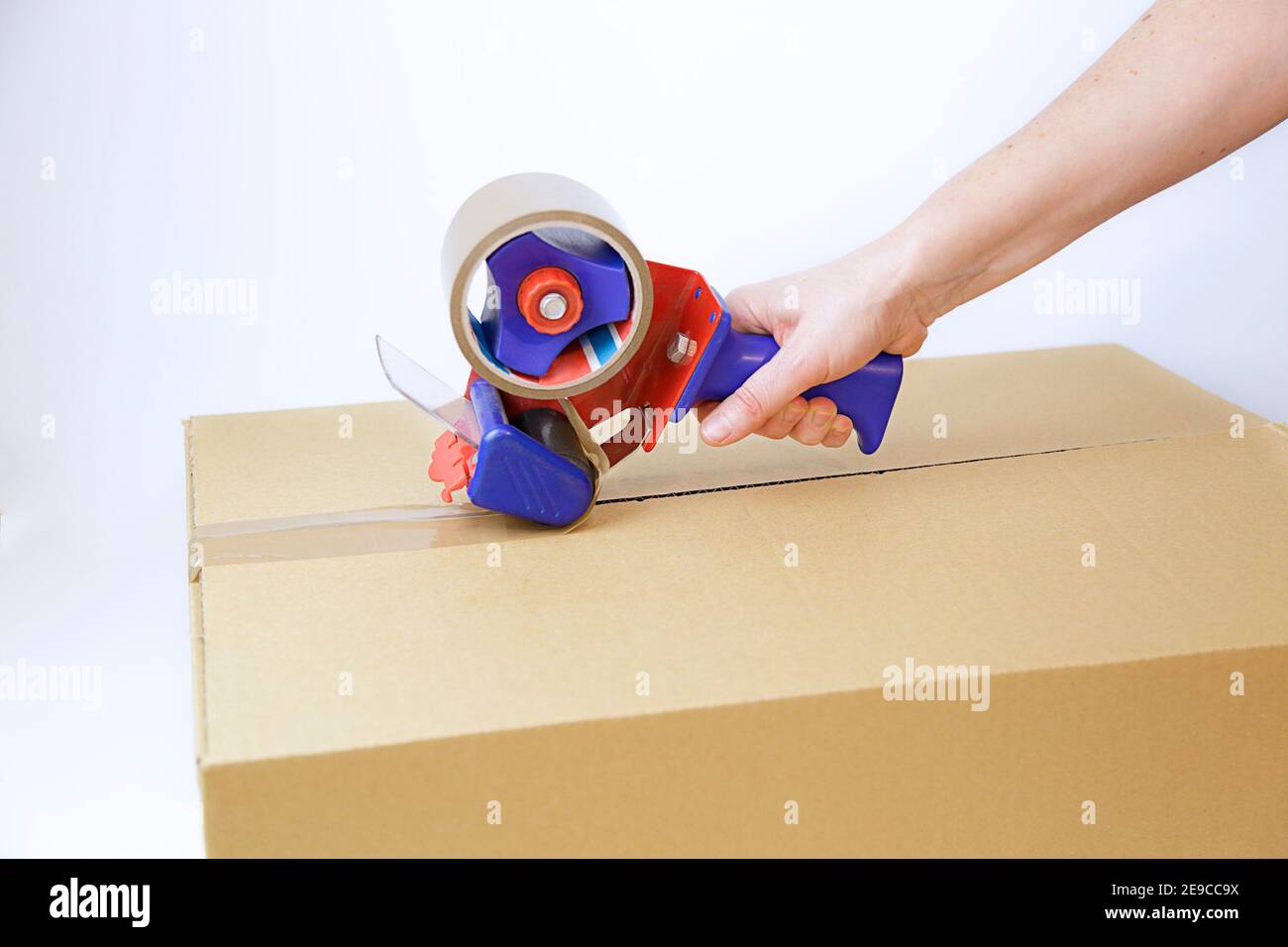 Weibliche Hände Verpackung Karton mit Spender Stockfoto