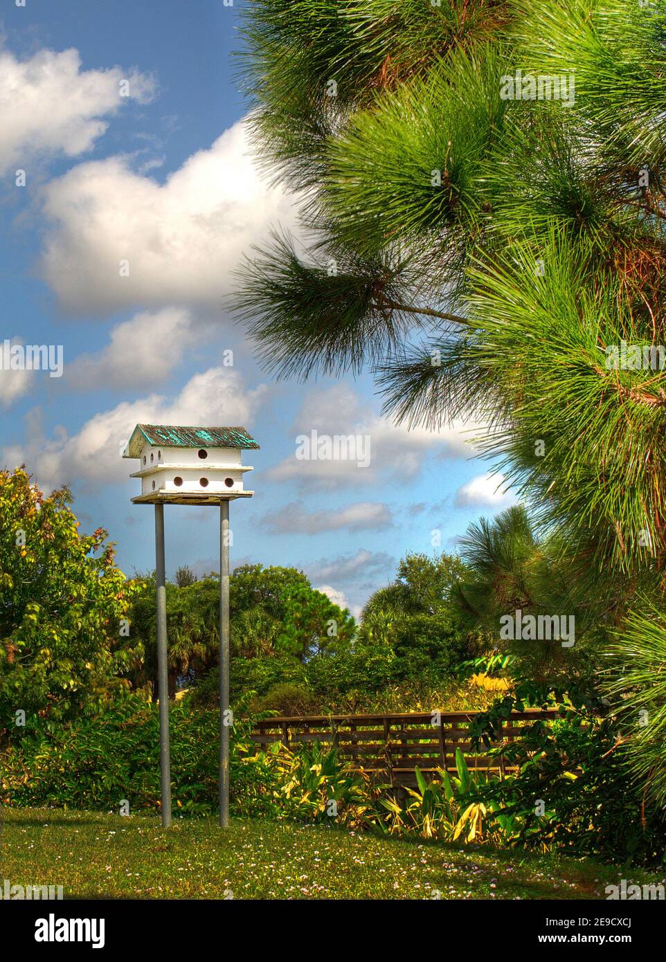 Vogelhaus in Wakodahatchee Naturschutzgebiet Stockfoto