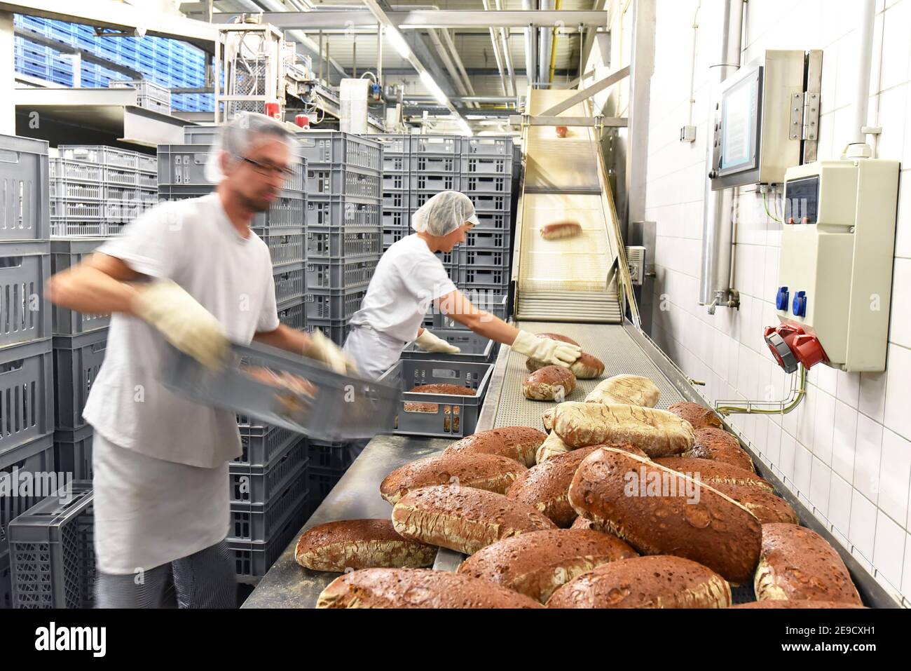 Arbeiter in einer Großbäckerei - Industrieproduktion von Backwaren auf einer Fließstrecke Stockfoto