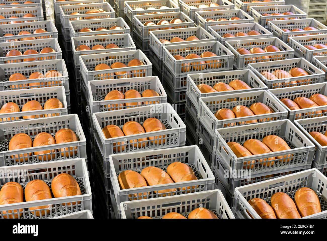Lagerung und Transport von frisch gebackenen Brotsorten in einer Bäckerei zum Verkauf - industrielle Lebensmittelproduktion Stockfoto