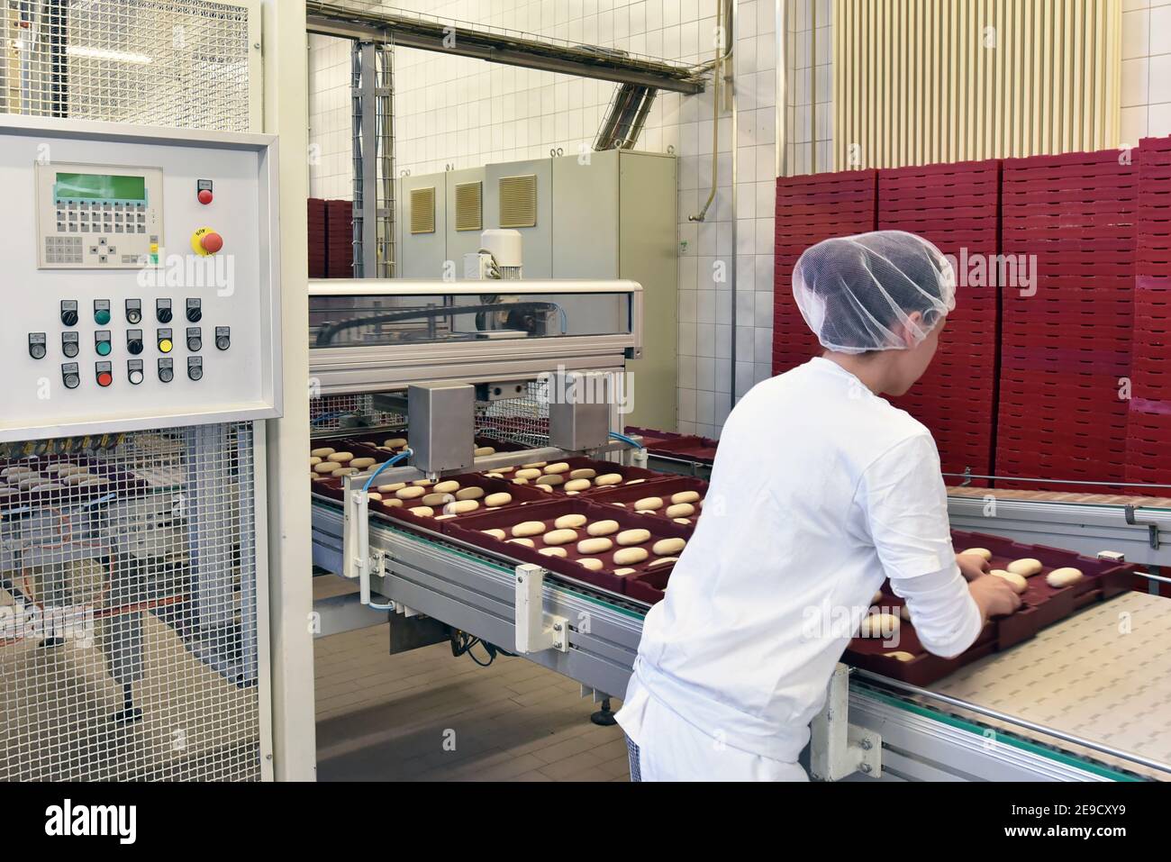 Frau, die in einer großen Bäckerei arbeitet - industrielle Produktion von Backwaren auf einer Montagelinie Stockfoto
