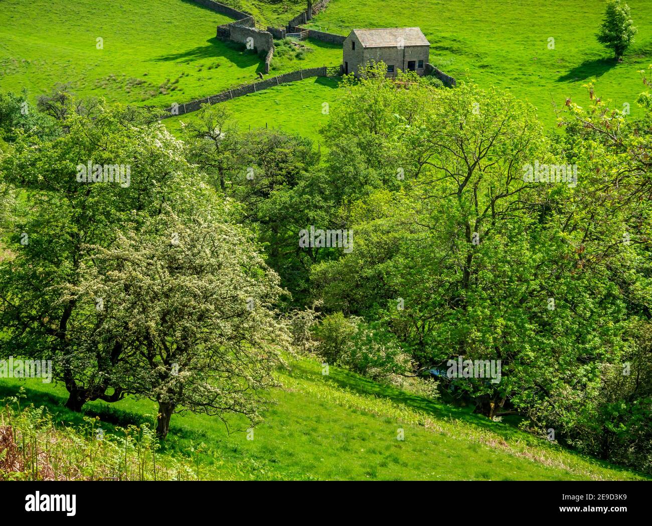 Hügelige Landschaft im Upper Derwent Valley des Peak District National Park, High Peak, Derbyshire, England, Großbritannien Stockfoto