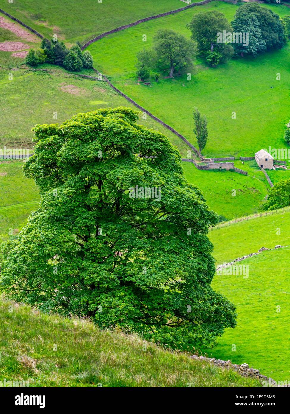 Hügelige Landschaft im Upper Derwent Valley des Peak District National Park, High Peak, Derbyshire, England, Großbritannien Stockfoto
