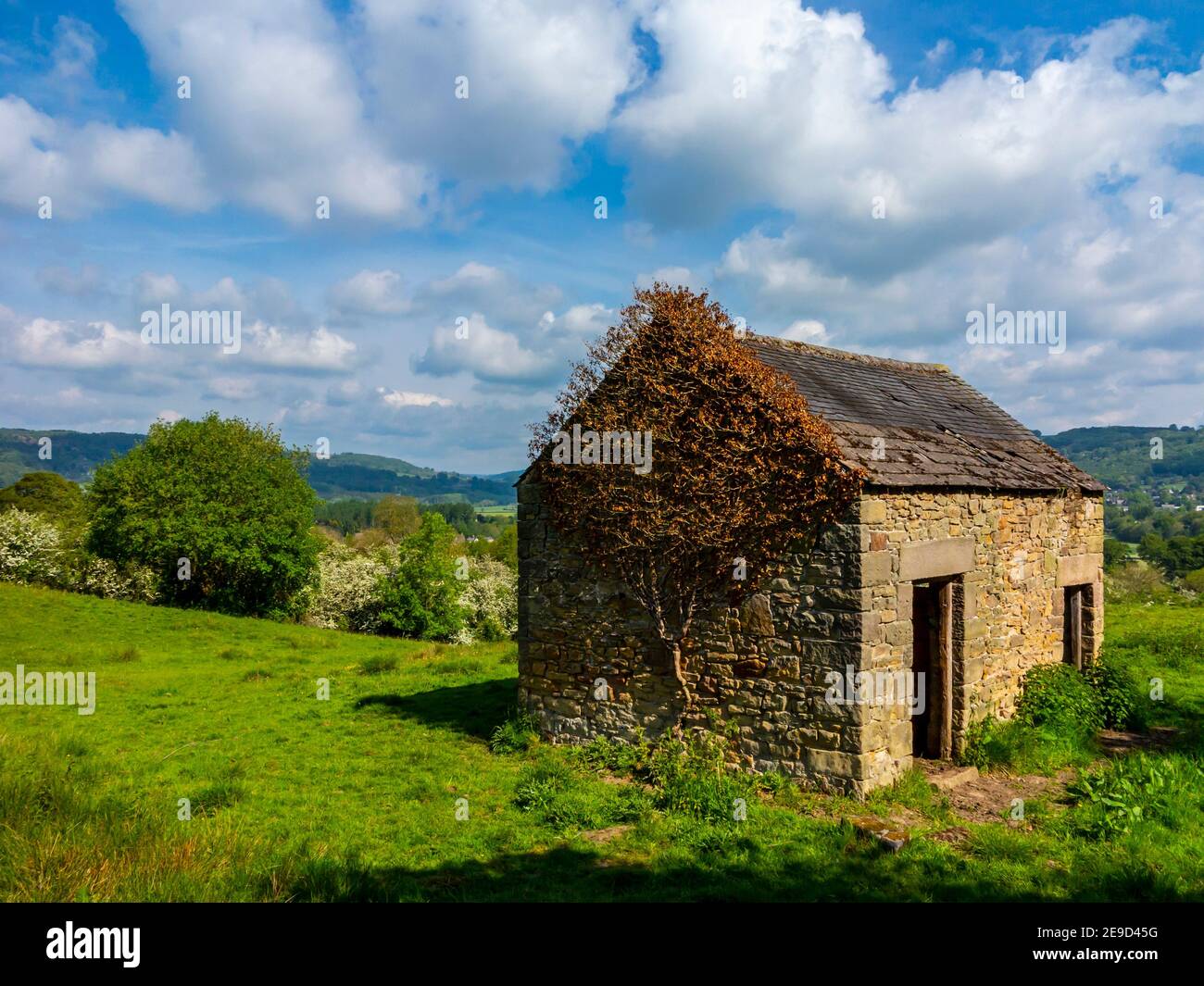 Alte Steinscheune in einem Feld in der Nähe von Oaker in der Derbyshire Dales Gebiet des Peak District National Park England VEREINIGTES KÖNIGREICH Stockfoto