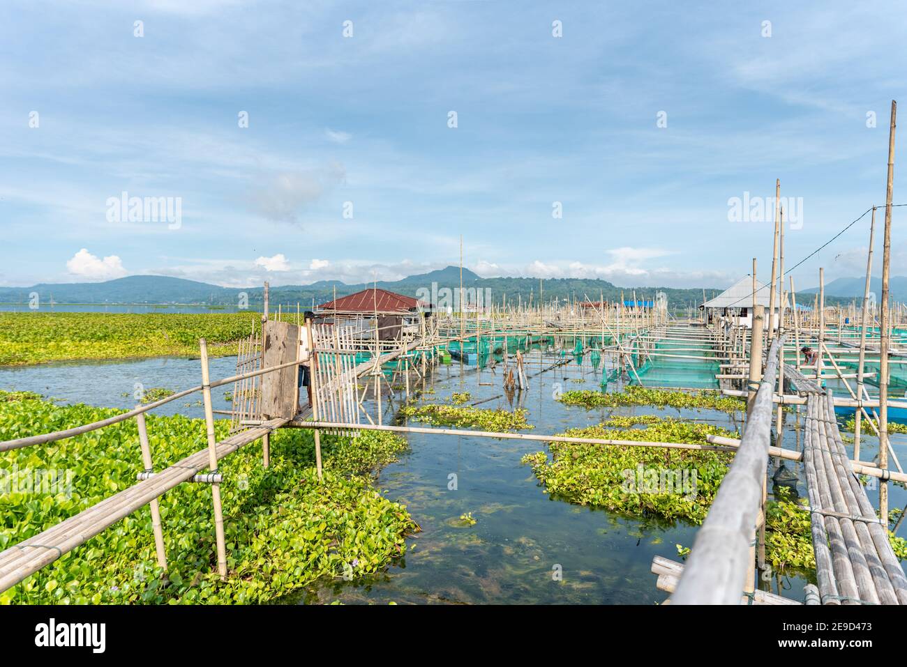 Tondano Lake, Mount Mahawu, Minahasa Region, Danau Linow, Sulawesi, Indionesien Stockfoto