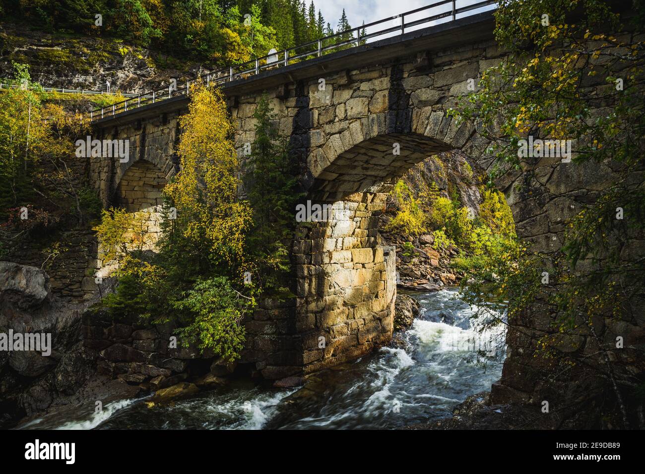 Waldlandschaft des Flusses Gaula und alte Brücke Eides Broa. Skandinavischer Bergwald und herbstlicher Wald Stockfoto