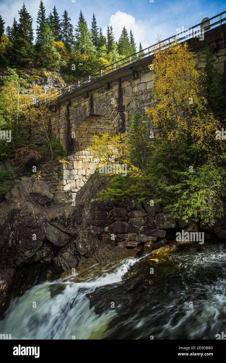 Waldlandschaft des Flusses Gaula und alte Brücke Eides Broa. Skandinavischer Bergwald und herbstlicher Wald Stockfoto