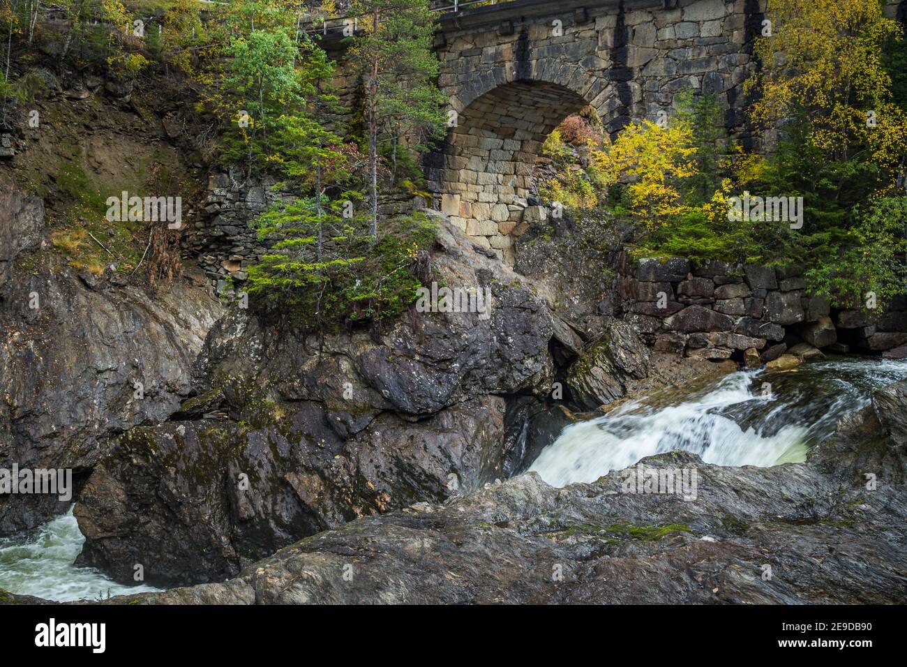 Waldlandschaft des Flusses Gaula und alte Brücke Eides Broa. Skandinavischer Bergwald und herbstlicher Wald Stockfoto