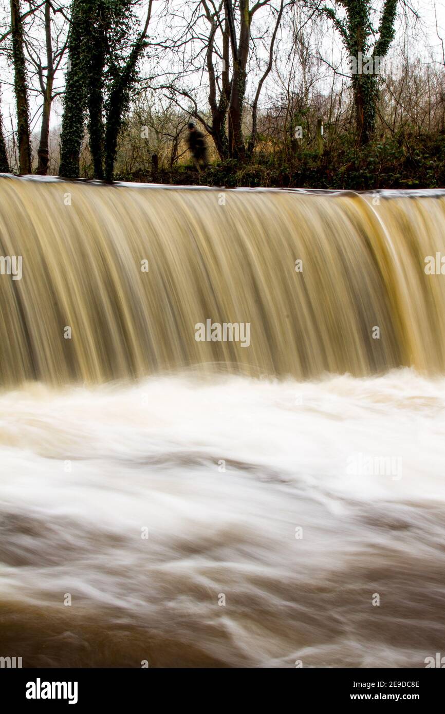 Honley, Holmfirth, Yorkshire, Großbritannien, 02. Februar 2021. Hohe Flussniveaus nach der jüngsten Schneeschmelze im Holme Valley, Holmfirth, Yorkshire. Richard Asquith/Alamy Live News. Stockfoto