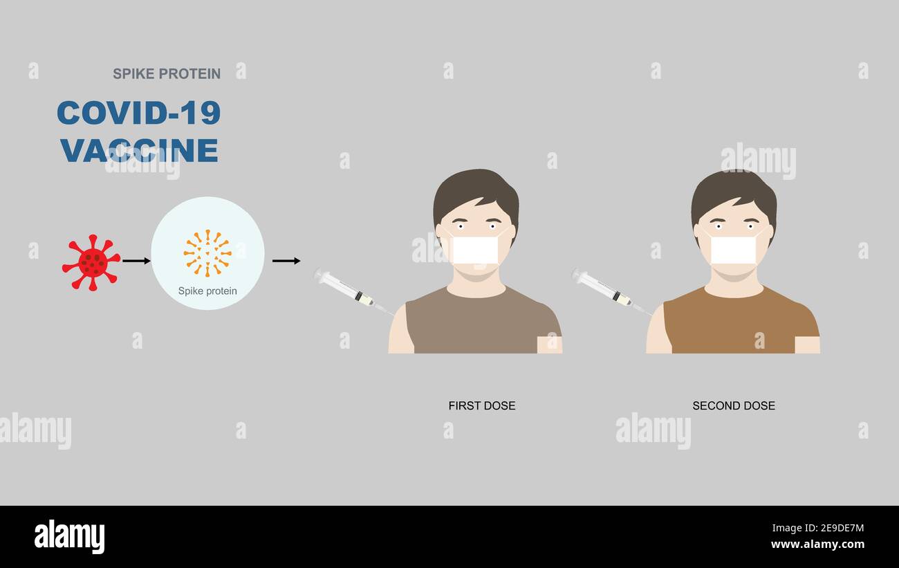 Impfstoff auf Spike-Protein-Basis zum Schutz vor Covid-19 oder Coronavirus. Illustration eines Impfstoffs mit Spike-Protein in einer Spritze, die in einen Mann injiziert wird. Stock Vektor Impfstoff auf Spike-Protein-Basis zum Schutz vor Covid-19 oder Coronavirus. Illustration eines Impfstoffs mit Spike-Protein in einer Spritze, die in einen Mann injiziert wird. Stock Vektor