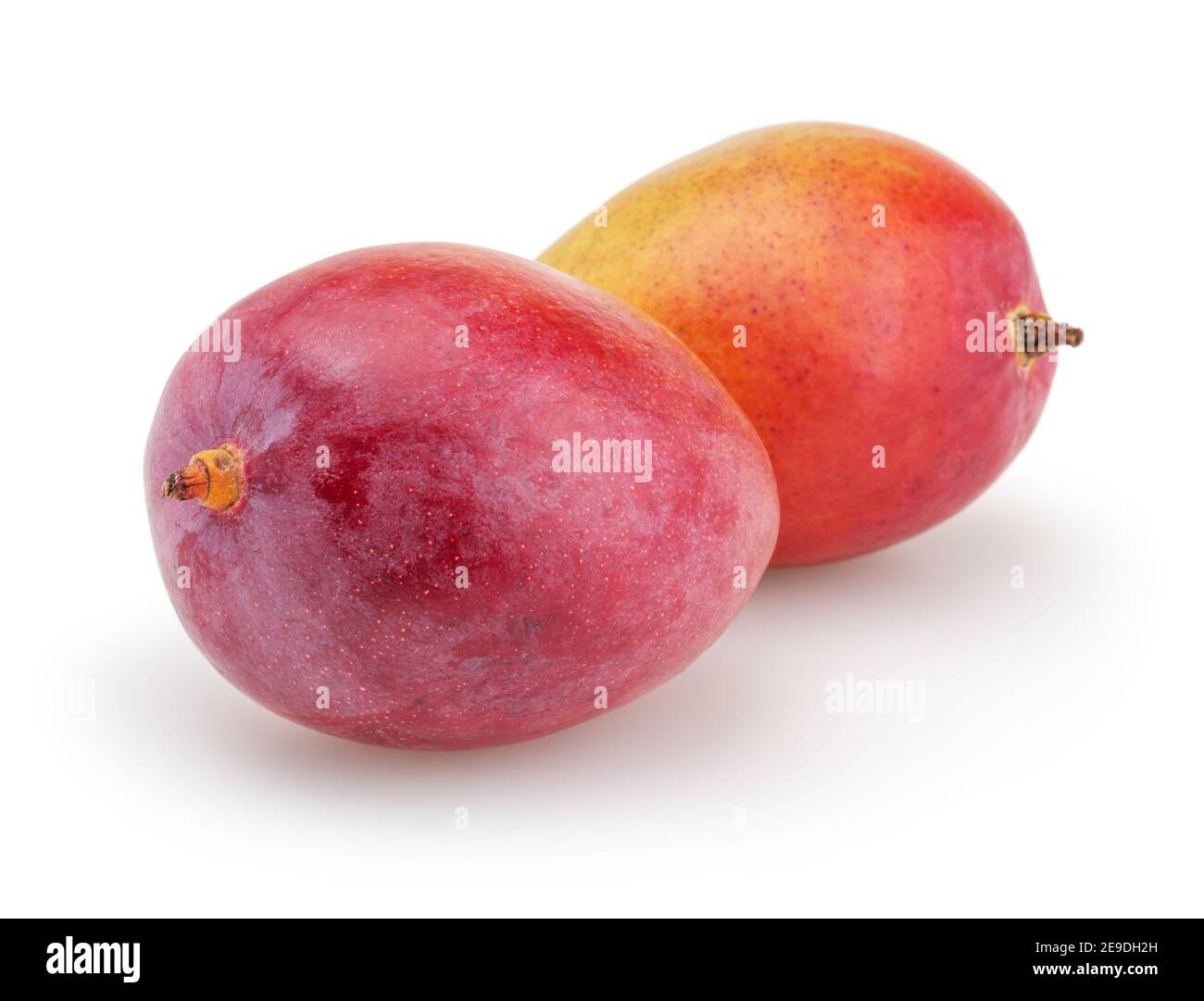 Mangos auf weißem Hintergrund mit Freistellungspfad isoliert Stockfoto