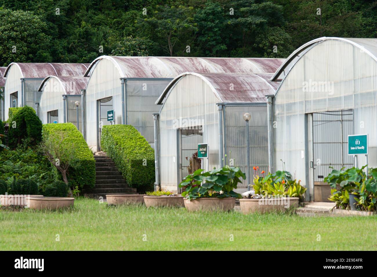 Gewächshaus Gebäude für den Anbau im Norden von Thailand verwendet. Stockfoto