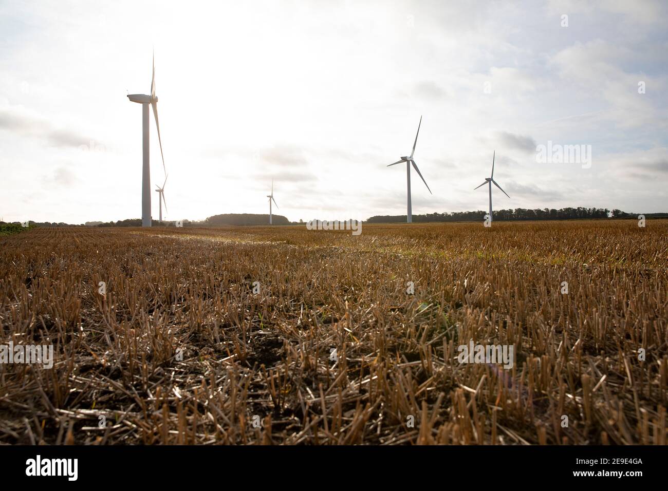 Windturbinen in Naturschutzgebieten in Yorkshire Stockfoto